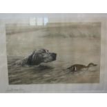 A pencil signed coloured print of gun dog and duck in water, framed and glazed,