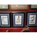 A set of three signed signed local bird illustrations,