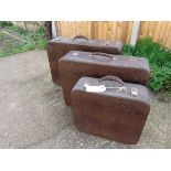 A set of three graduating Pukka Luggage snakeskin suitcases