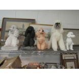 Five resin and ceramic poodle figures