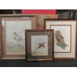 Three bird watercolours; a golden eagle in a mountain setting by Alan Carr, signed lower right,