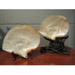 Two mother-of-pearl shells carved in relief depicting battle scenes,