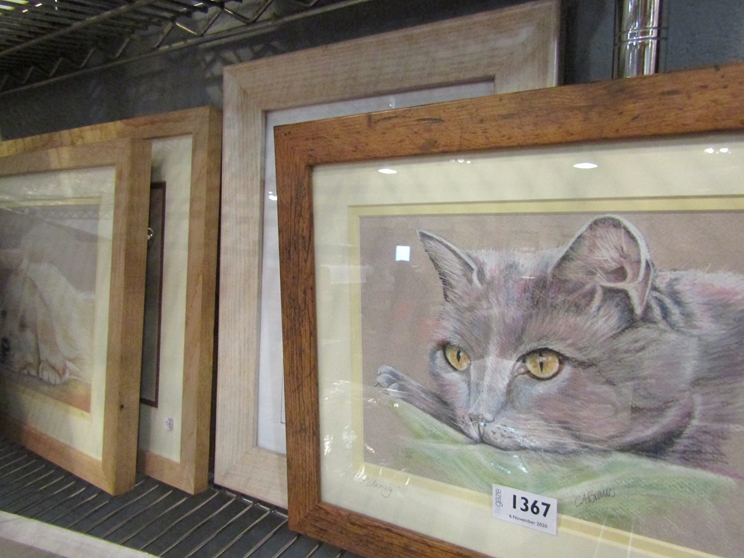 Five framed and glazed pictures of animals