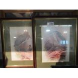 A pair of framed and glazed prints depicting birds and another depicting teddy bear,