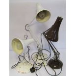 Three mid 20th Century anglepoise bench lamps
