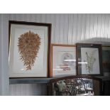 Four large modern pictures including Fern's unfolding by Susan Arnold