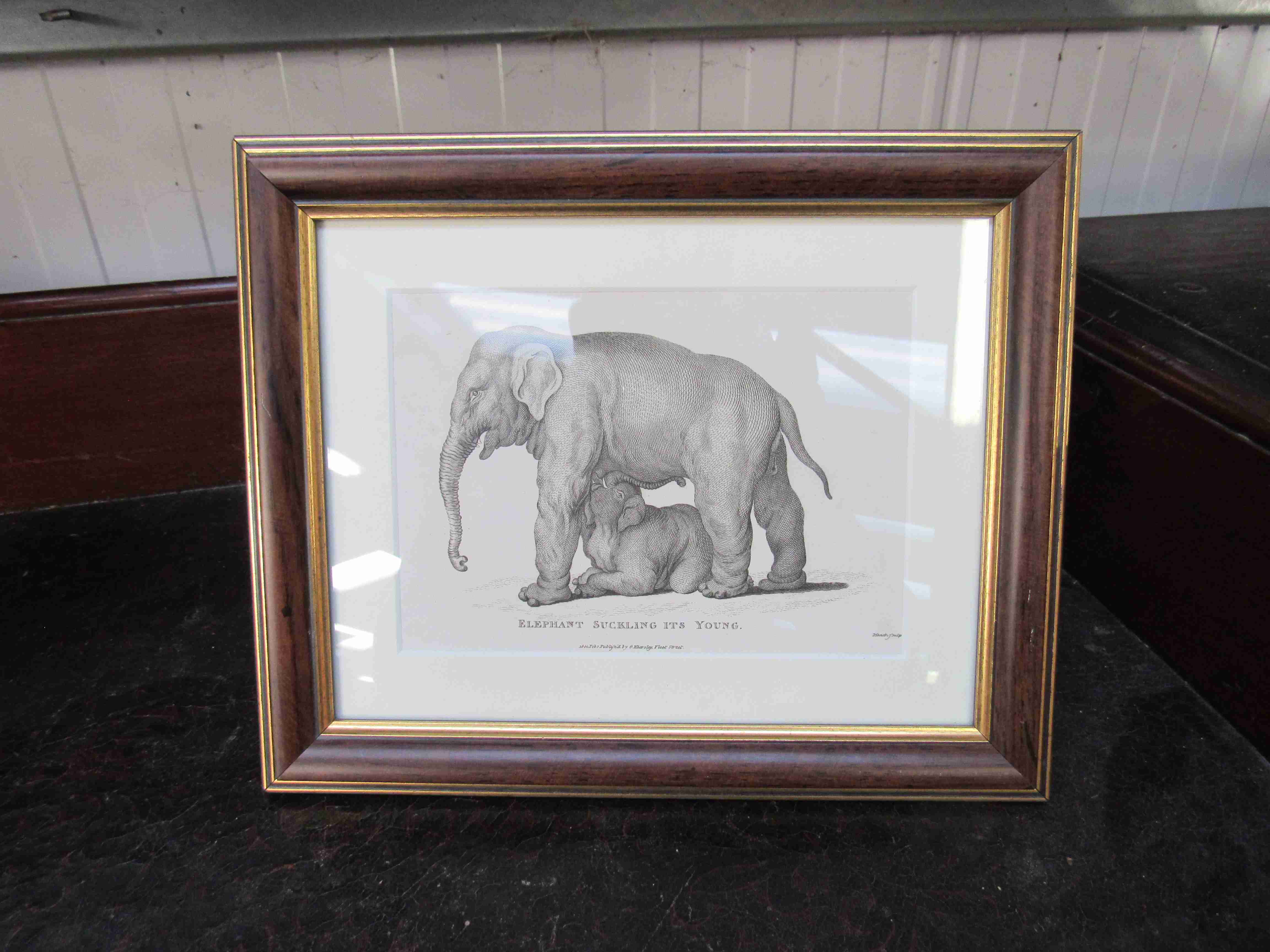 A pair of Georgian Elephant prints both framed and glazed - Image 2 of 2