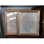 Two gilt framed late 19th Century hand coloured maps of Denmark and Russia with Poland