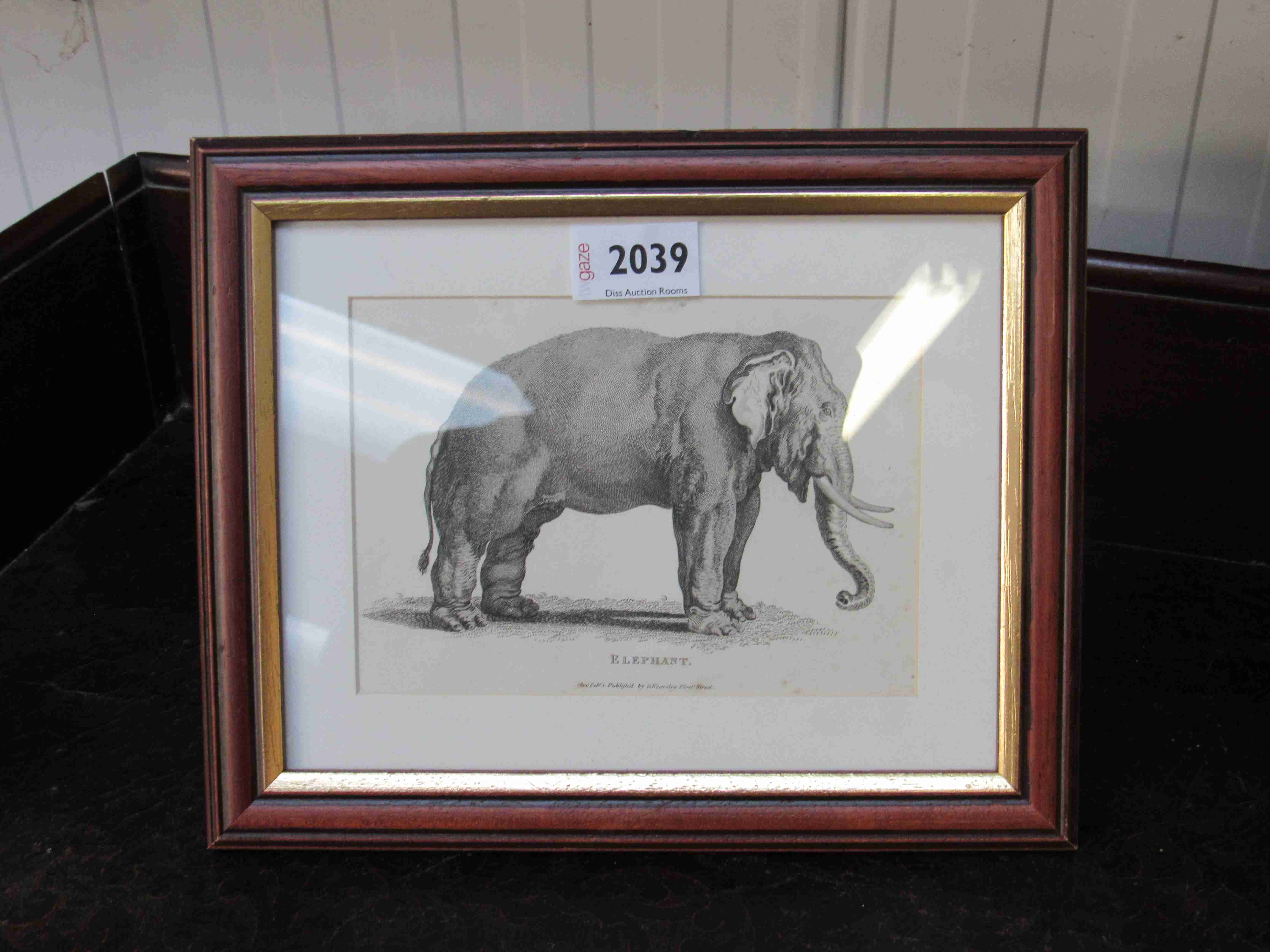 A pair of Georgian Elephant prints both framed and glazed