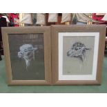 JOANNA ROBERTS: A pair of chalk sketches of Alpacas,