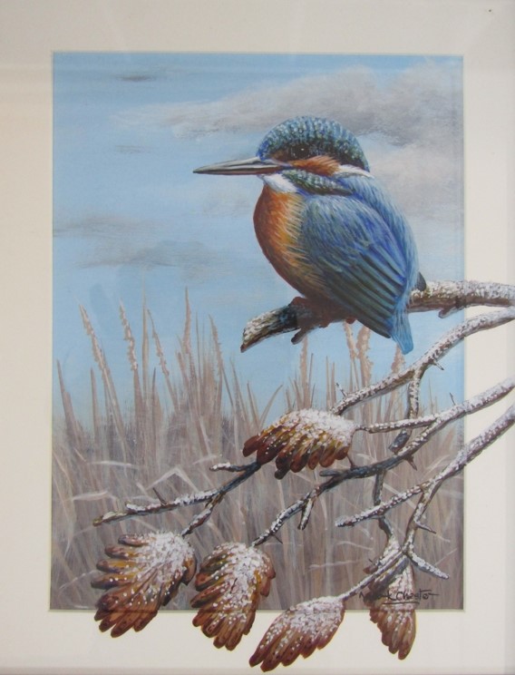 MARK CHESTER (b.1960): Winter Frost - Kingfisher, watercolour and acrylic. Signed bottom right. - Image 2 of 3