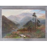 A late 19th Century oil on canvas, mountainous valley scene.