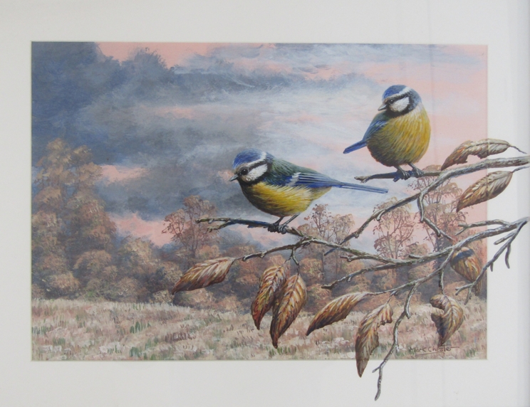 MARK CHESTER (b.1960): Autumn Colours - Blue Tits. Watercolour and acrylic. Signed bottom right. - Image 2 of 3