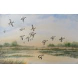 SIMON TRINDER (b.1958) A gilt framed watercolour, Teal coming in to land on water.