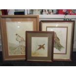 Three bird watercolours; a golden eagle in a mountain setting by Alan Carr, signed lower right,