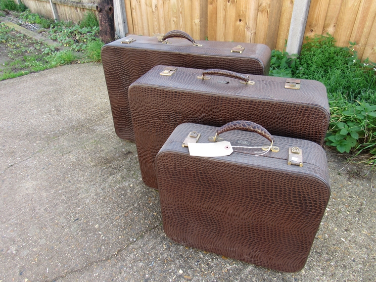 A set of three graduating Pukka Luggage snakeskin suitcases