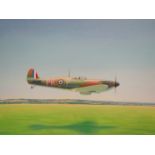 MARK WILSON (20th C): An acrylic on heavy gauge cartridge paper depicting low flying Spitfire 49.