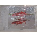 A limited edition print after Mark Zanker "Wash-Out" depicting Red Arrows Hawk on runway,