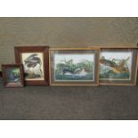 Eight watercolours/inks depicting birds,copies of works by John Audubon.