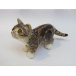 A Winstanley grey tabby kitten,