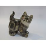 A Winstanley grey tabby kitten,