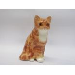 A Winstanley seated ginger cat,