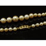 A graduated row of cultured pearls with a gold clasp stamped 375, pearls 4mm-8mm diameter,