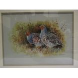 ROBERT STEWART (XX/XXI) A framed and glazed acrylic on paper of Grey Partridges. Signed, 31.