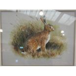ROBERT STEWART (XX/XXI) A framed and glazed acrylic on paper of a hare. Signed, 31.