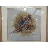 ROBERT STEWART (XX/XXI) A framed and glazed acrylic on paper of a pheasant.