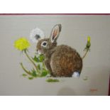 RYAN: An oil on canvas depicting a bunny amongst dandelions,
