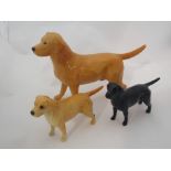 A Beswick Labrador "Solomon of Wendover" large, in golden yellow gloss, model no.