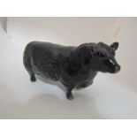 A Beswick Aberdeen Angus Bull in gloss, model no.