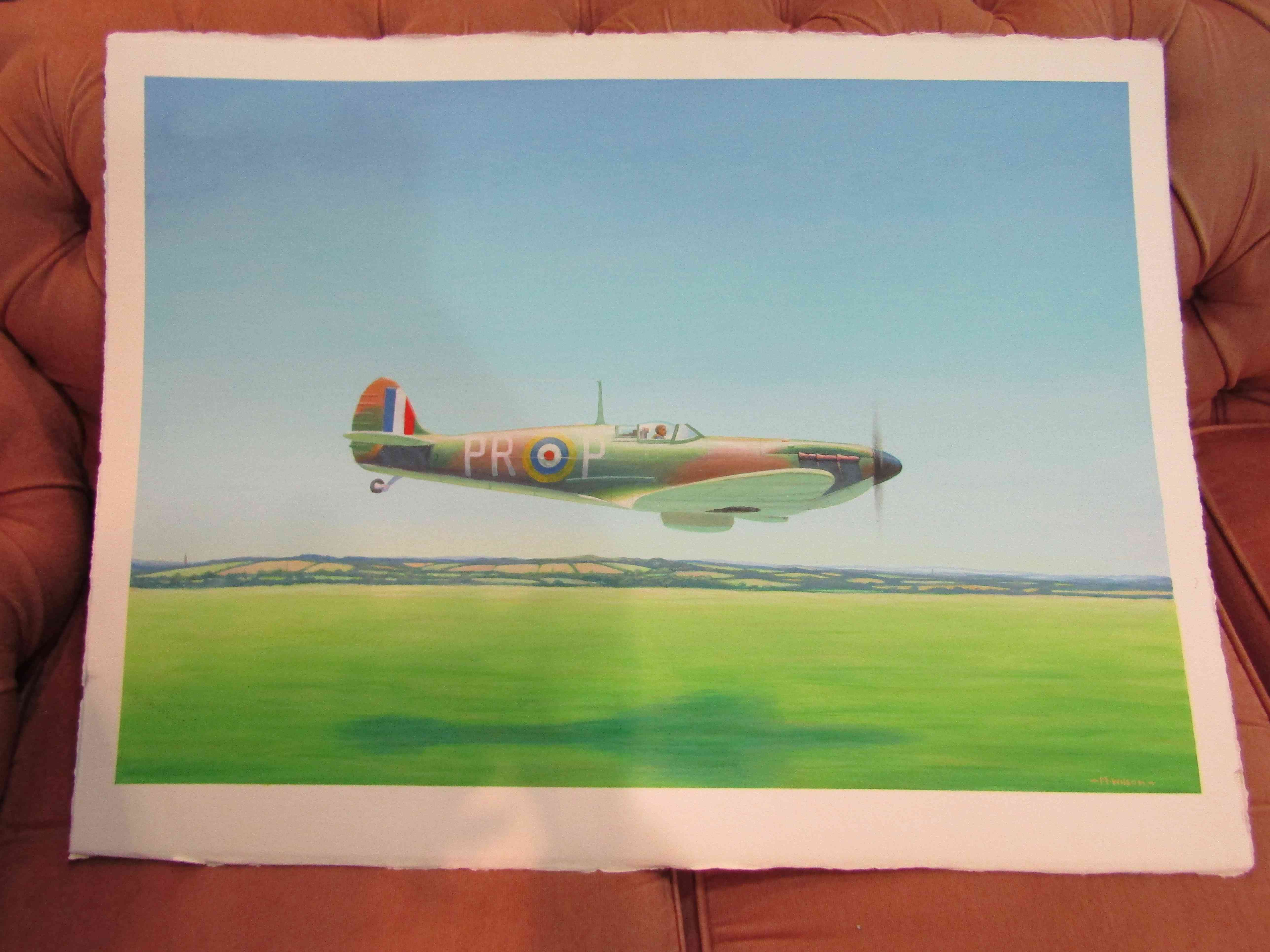 MARK WILSON (20th C): An acrylic on heavy gauge cartridge paper depicting low flying Spitfire 49.