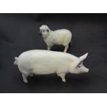 A Beswick Sow Ch. "Wall Queen 40th" in gloss, model no. 1452A and a Beswick Sheep, model no.