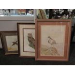 Three bird watercolours; a golden eagle in a mountain setting by Alan Carr, signed lower right,