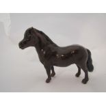 A Beswick Shetland Pony "Eschonchan Ronay" in brown gloss, model no.