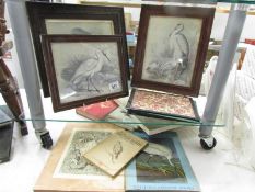 A quantity of bird books and 3 framed and glazed bird studies.