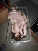 2 large porcelain dolls and a smaller example.