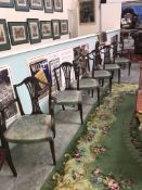 A set of 6 Edwardian dining chairs (including 2 carvers)