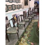 A set of 6 Edwardian dining chairs (including 2 carvers)