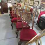 A set of 6 mahogany dining chairs on lion paw feet.