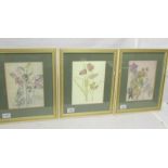 Charles Rennie Macintosh (1868-1928) 3 framed and glazed botanical prints.