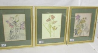 Charles Rennie Macintosh (1868-1928) 3 framed and glazed botanical prints.