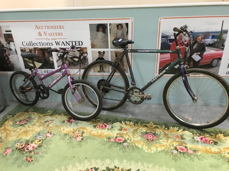 A Glacier Point Fastrack bicycle and a childs bicycle