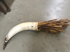A large cattle horn of dried corn