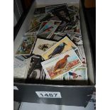 A shoe box of assorted cigarette cards including Ogden's, Carreras, John Player, Wills etc.