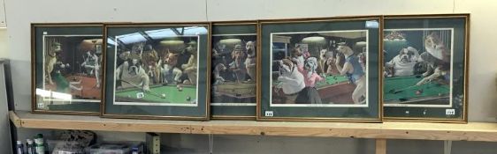 5 framed and glazed dog pool prints