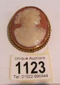 A shell cameo brooch with female profile in yellow metal mount.