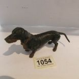 A cold painted bronze dachsund.